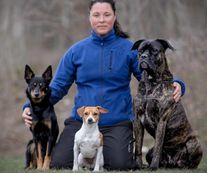  Vital Hund vattentrask laserbehandling hundfysioterapeut valpkurs bal